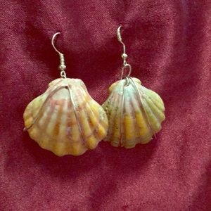 Sunrise shell earrings